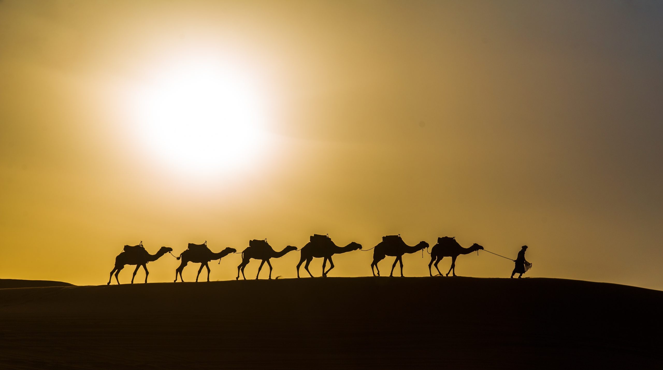 La Migliore Escursione Nel Deserto Di Agafay