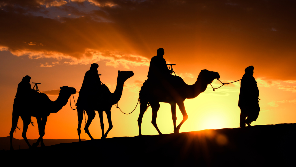 2 Giorni Da Marrakech Al Deserto Di Zagora