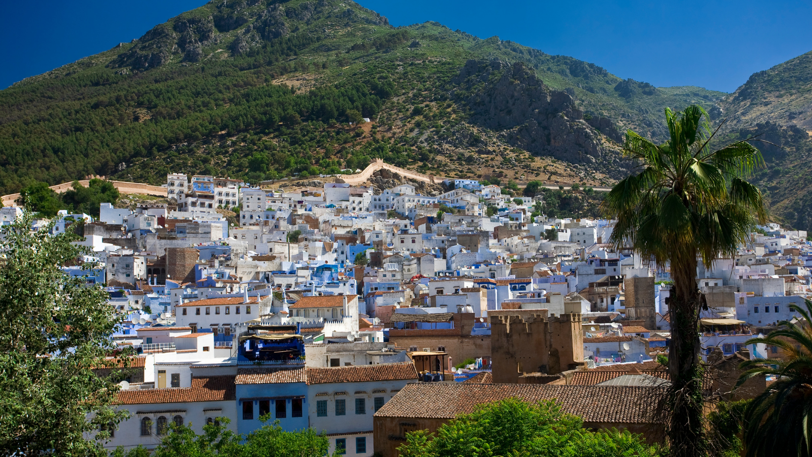 chefchaouen 2022 (4)