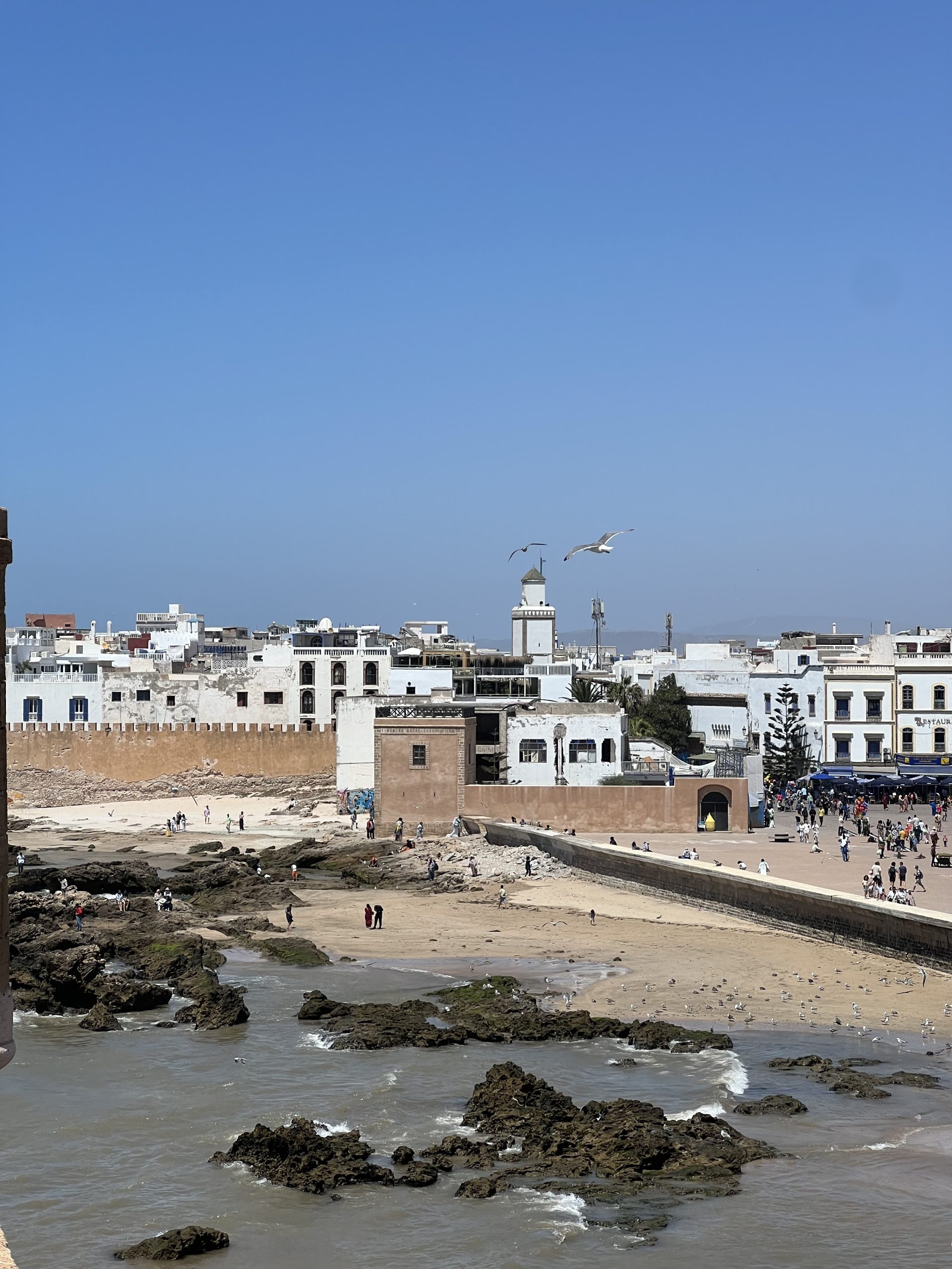 porto di Essaouira